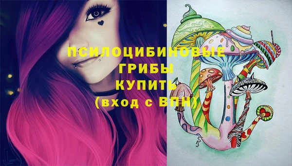 прущая мука Богородицк