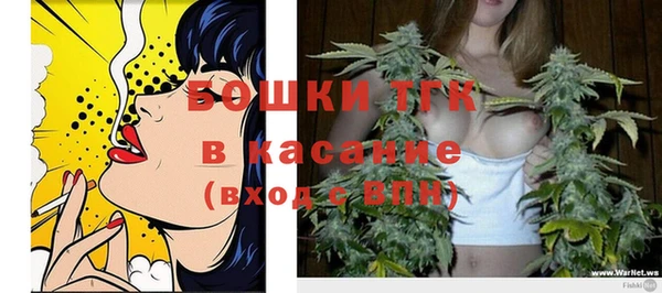 стаф Белокуриха