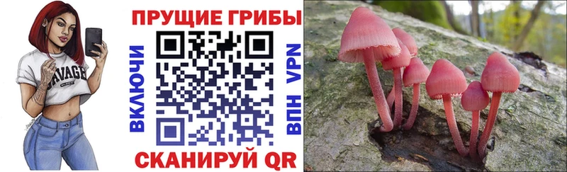 закладка  Фролово  Галлюциногенные грибы ЛСД 